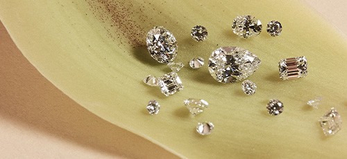 Round and Fancy loose diamonds by Facets Singapore