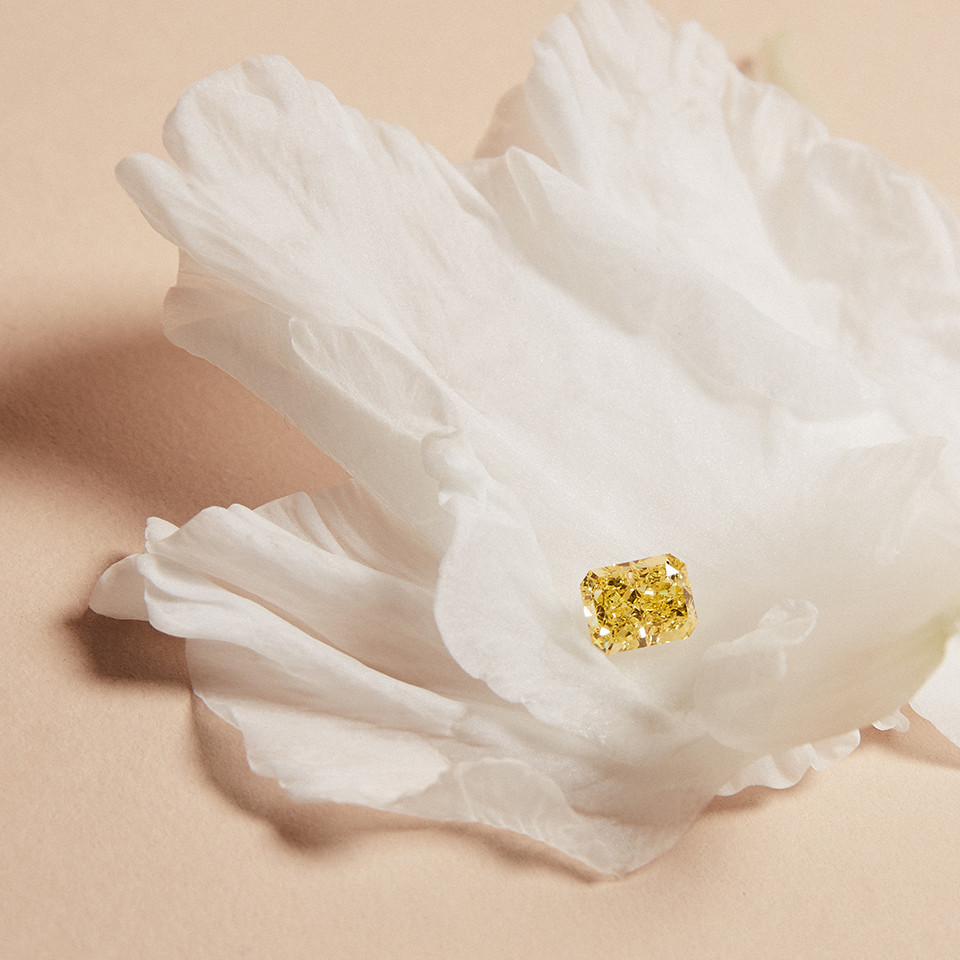 3 carat Fancy Intense Yellow Diamond | Facets Singapore