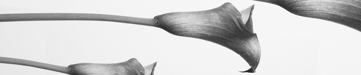 Re-modelling your heirloom jewellery